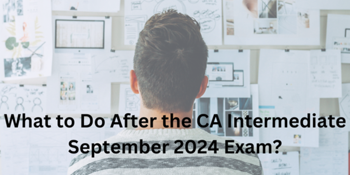 what-to-do-after-the-ca-intermediate-september-2024-exam